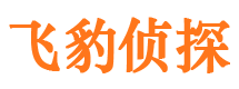 浪卡子市婚外情调查